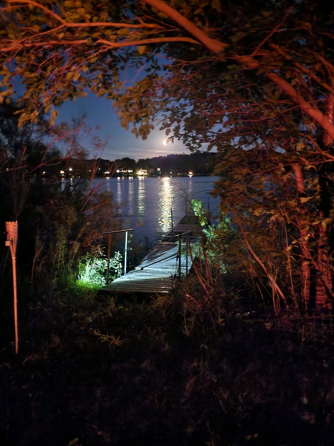 The club dock by moonlight
